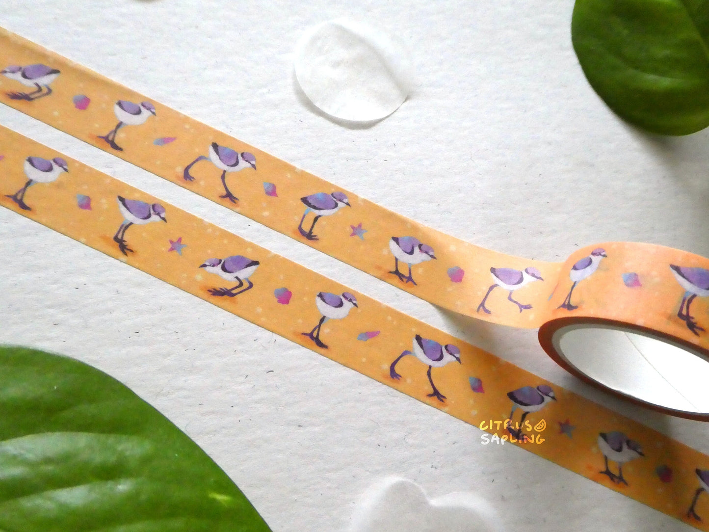 Plover Bird Washi Tape