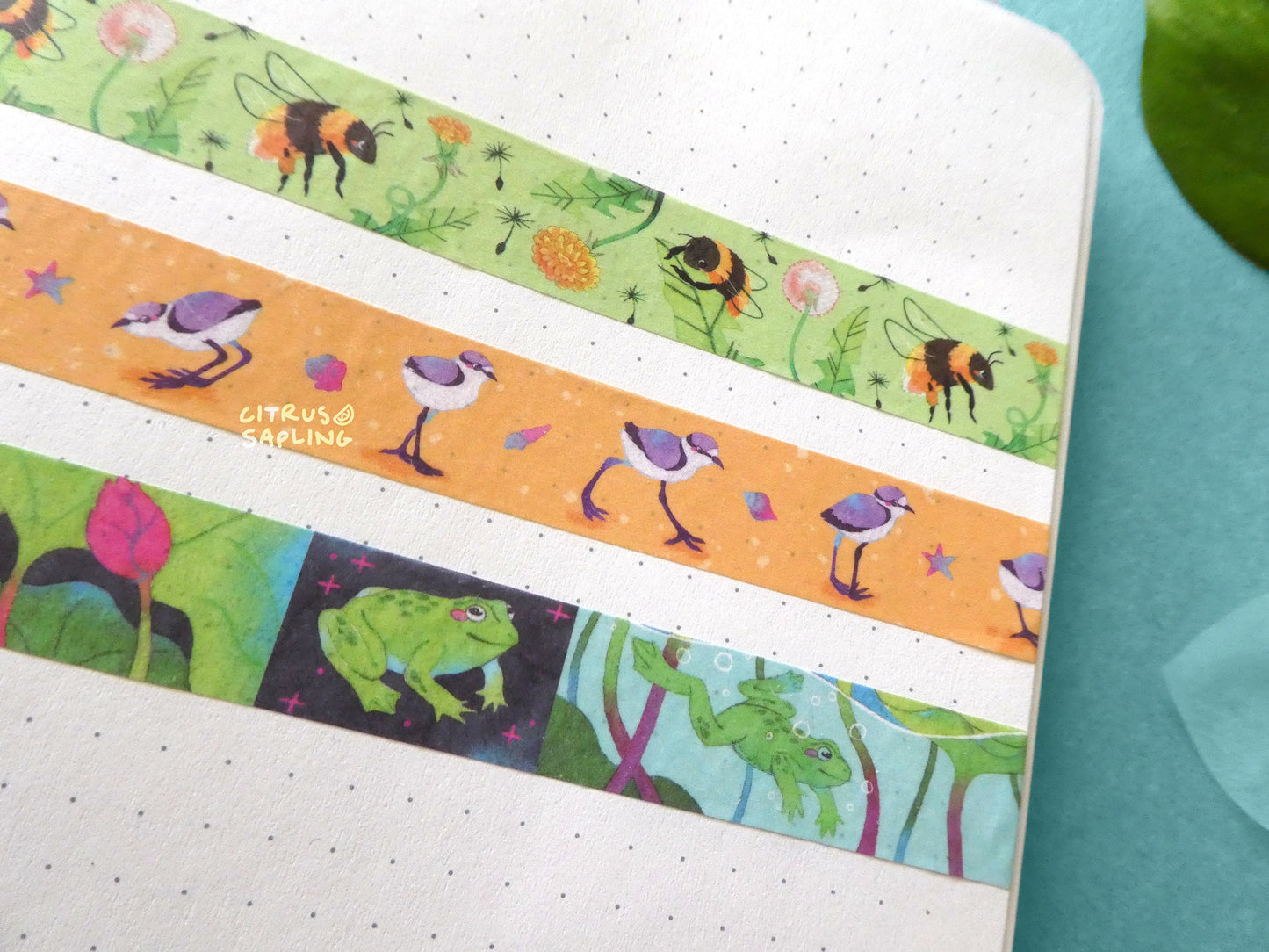 Lotus Frog Washi Tape