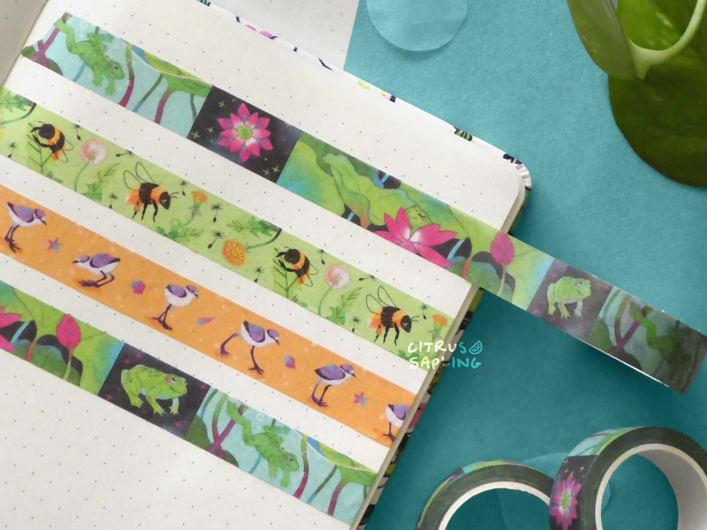 Lotus Frog Washi Tape